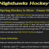 Nighthawks Hockey Screenshot